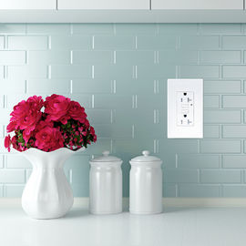 LD -U001 4.2A Chargeur USB intelligent à grande vitesse Sortie 2 ports USB avec 2 plaques murales