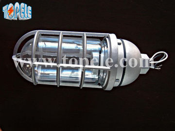 100W 220V gris brun IP65 lampes résistantes à la vapeur